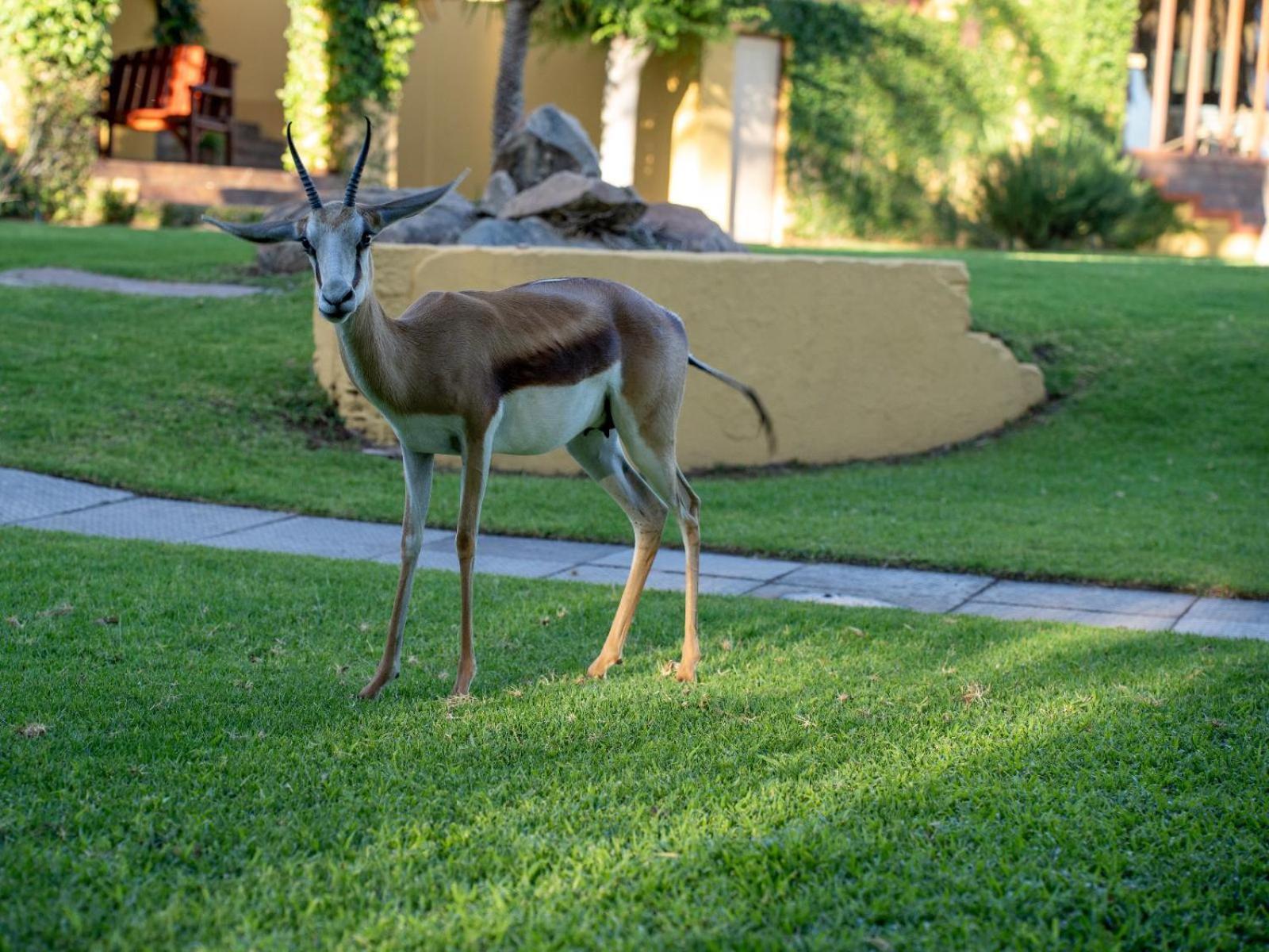 Sunriver Kalahari Lodge Riverside Stay In אפינגטון מראה חיצוני תמונה